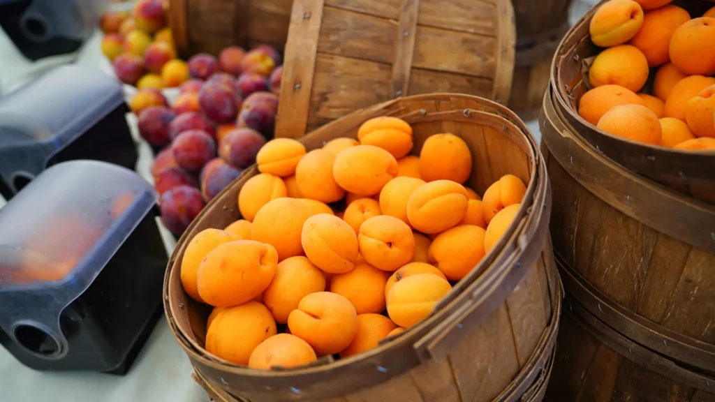 Apricots seven