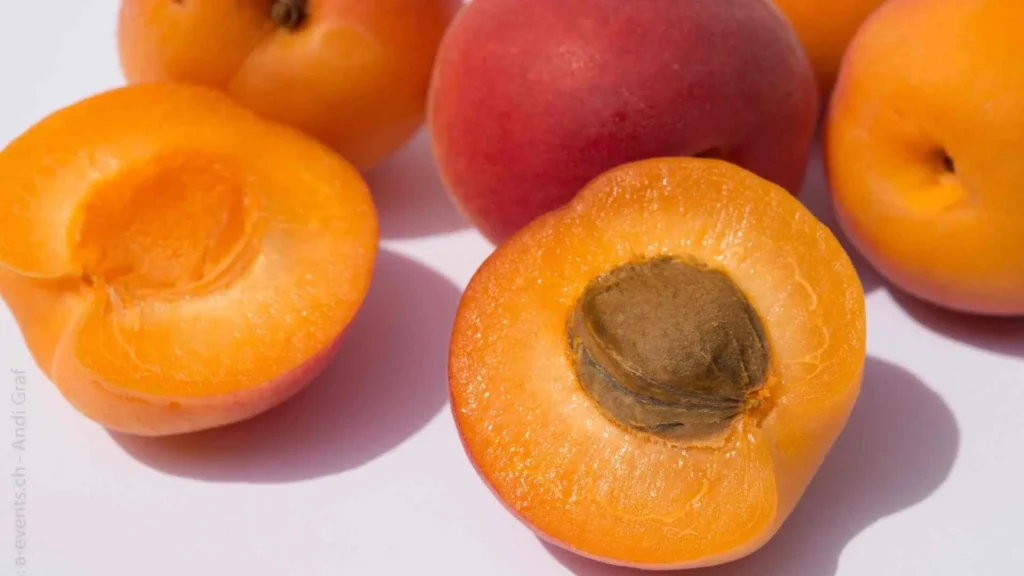 Apricots ten