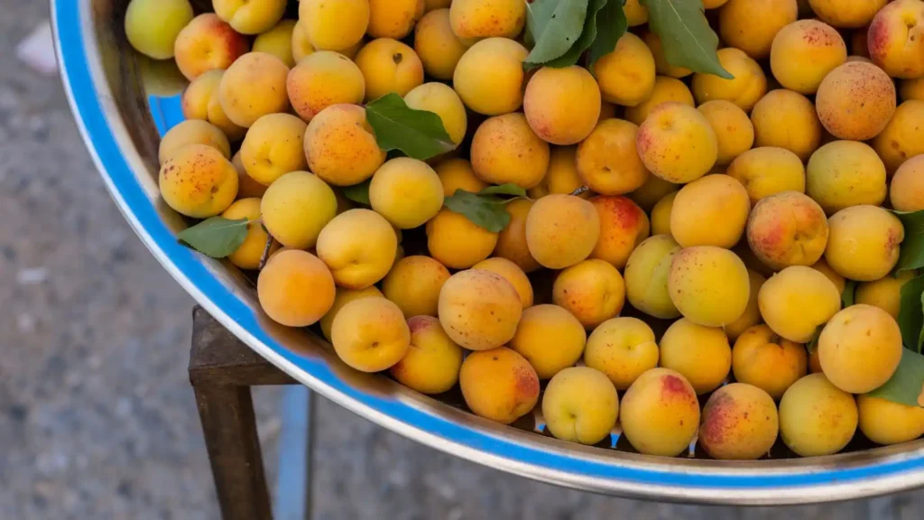 Apricots